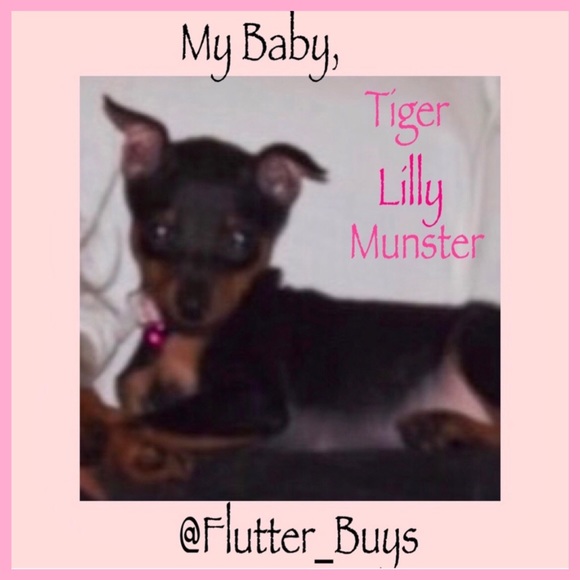 Hi! Welcome to my Closet! - Picture 4 of 7